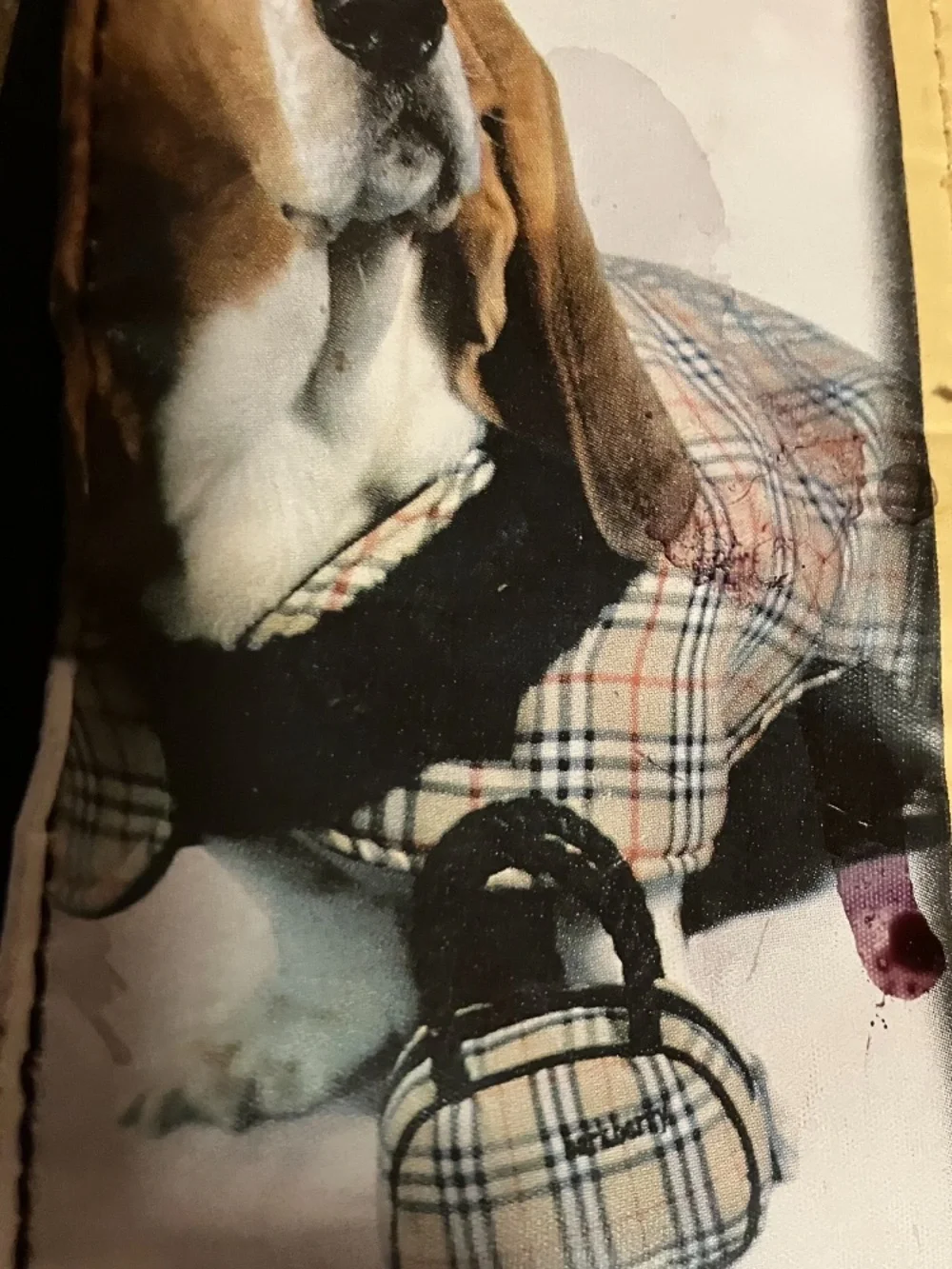 New Dog Paparazzi Style Tote with Personal Photo Spots For Your Dogs Pictures